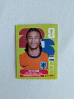 Panini Bild NED 7