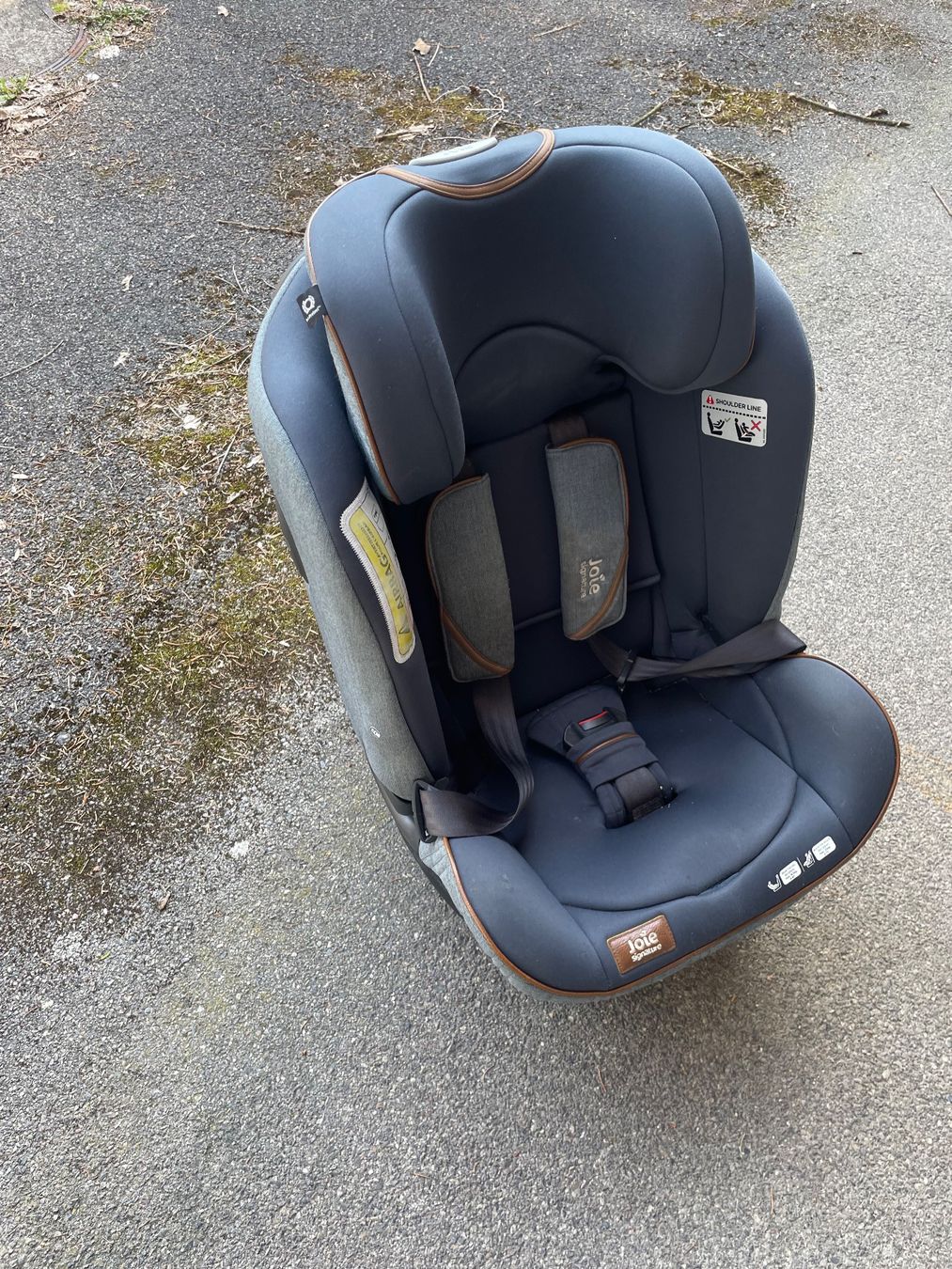 Joie Auto-Kindersitze: Kindersitz – Gebraucht aus Langnau am Albis von George_Langnau 1