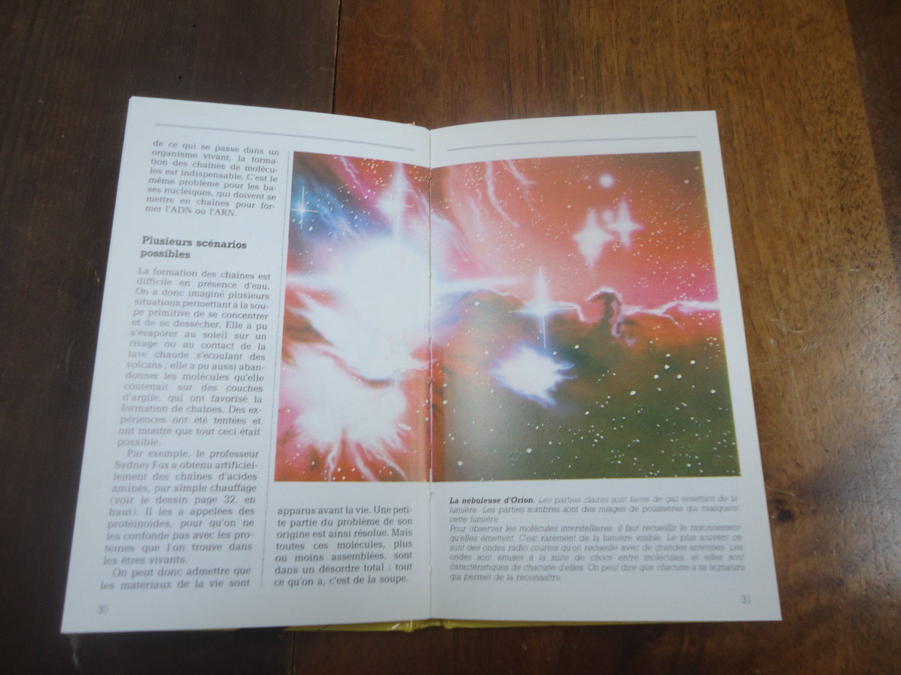 Libri: Aux origines de la vie – Usato da Vessy venduto da mafabe 1