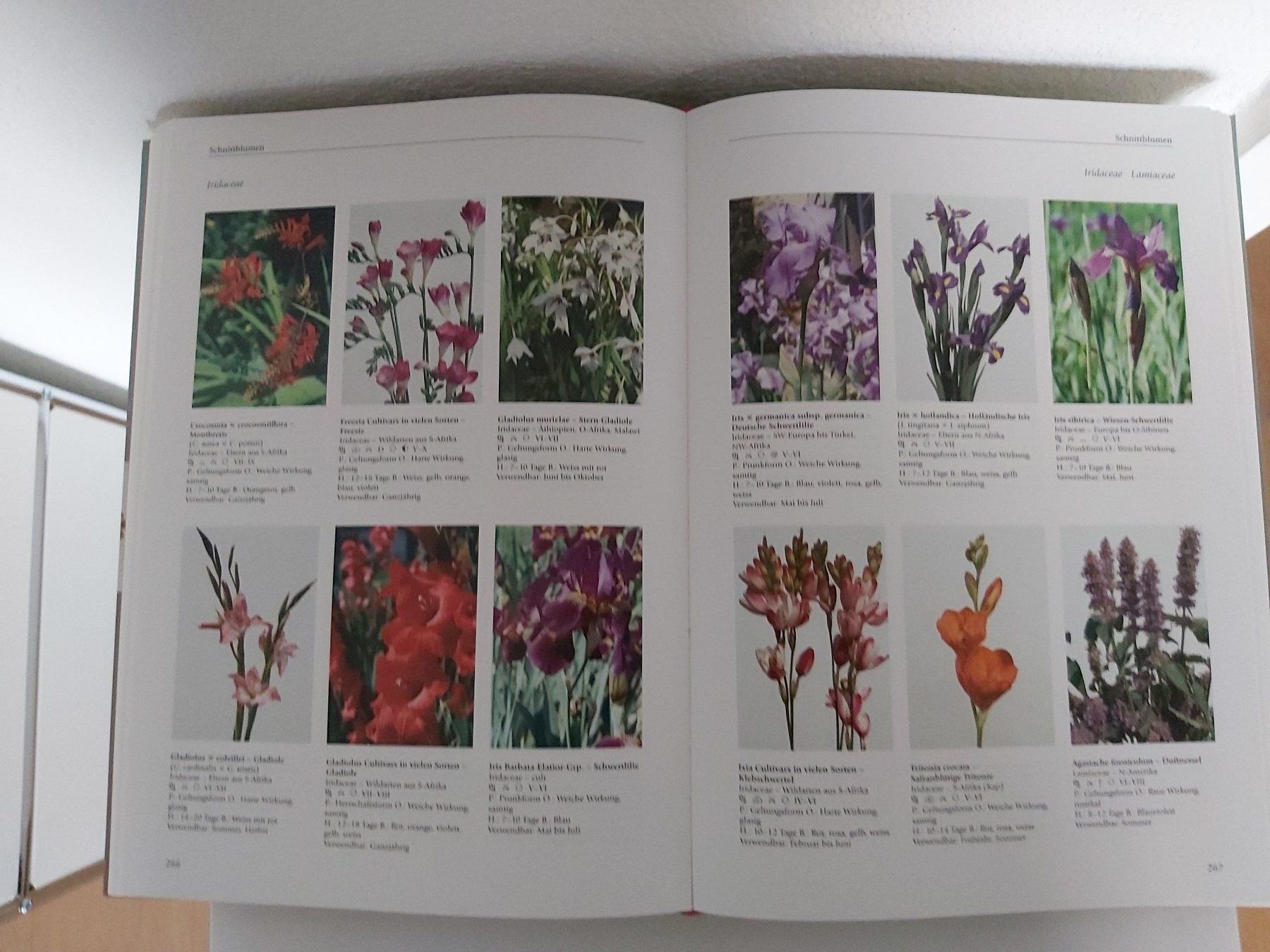 Bücher: Bildatlas der Pflanzen – Gebraucht aus Möhlin von wildm1 4