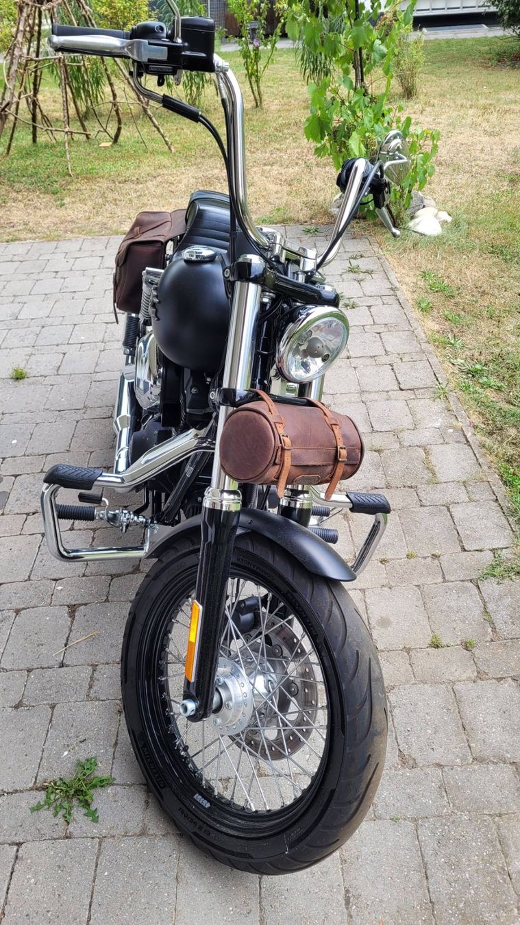 Harley-Davidson Chopper: Harley Davidson  FXDB 103 Street Bob – Gebraucht aus Brienz BE von MacValley 5