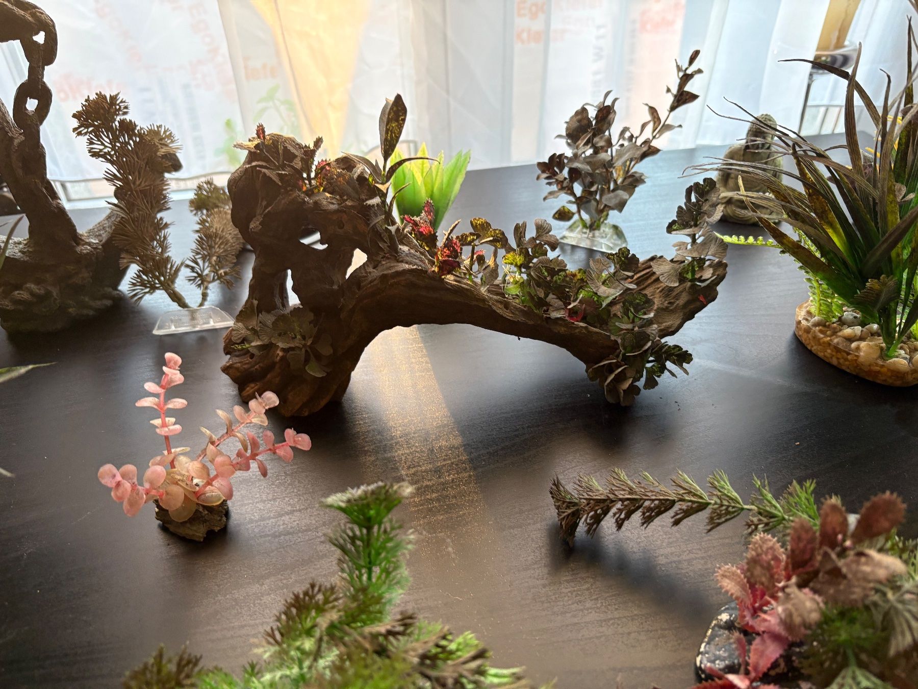 Tutte le decorazioni: Aquarium Deko 18 Teile – Usato da Hägglingen venduto da l-rocca