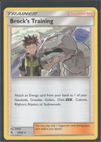 POKÉMON / Brock's Training / Hidden Fates / Holo 🇺🇸