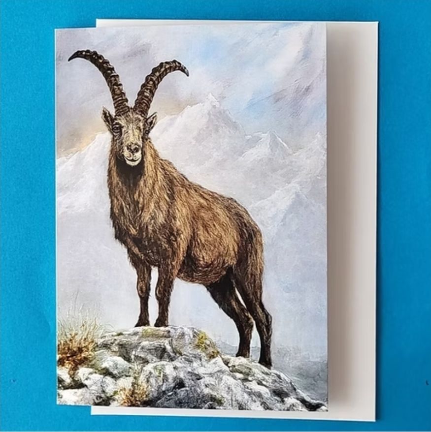 Cartoline: 5 x Kunstkarten Steinbock – Nuovo e nell'imballaggio originale da Meggen venduto da car_rxl6
