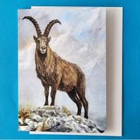 5 x Kunstkarten Steinbock