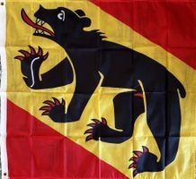 Fahne Flagge Kanton Bern Bär Bundeshaus Hauptstadt Schweiz