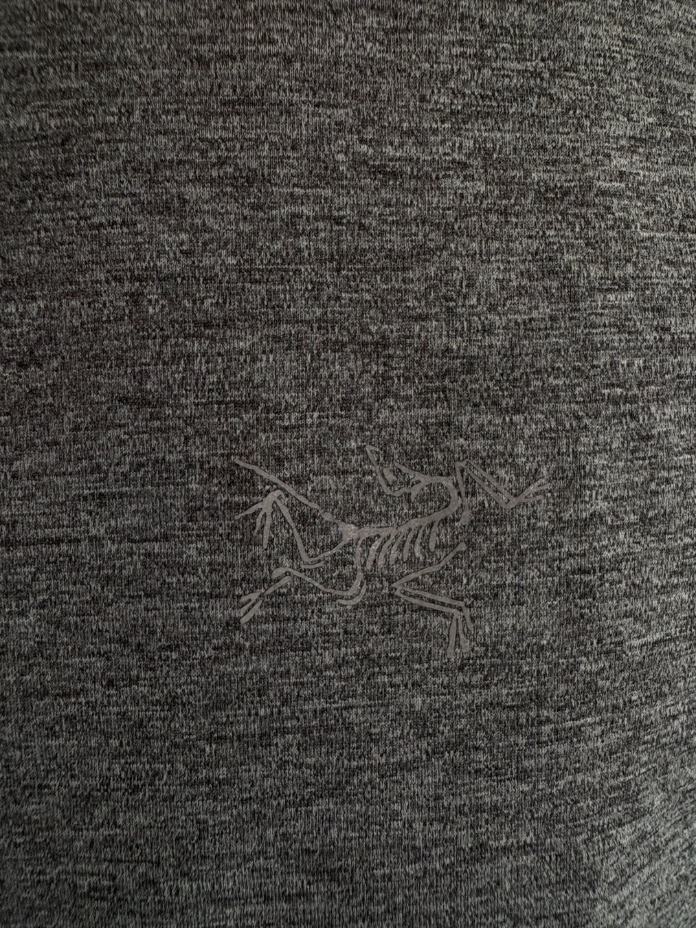 Arcteryx T-shirt: Arc’teryx T-Shirt Gr. S - Hellgrau – Usato da Zürich venduto da sarinadotcom 3