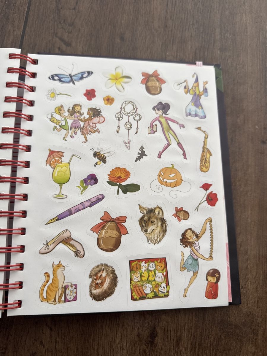 Libri: Girls Book – Nuovo (secondo la descrizione) da Eich venduto da PMagnum 3