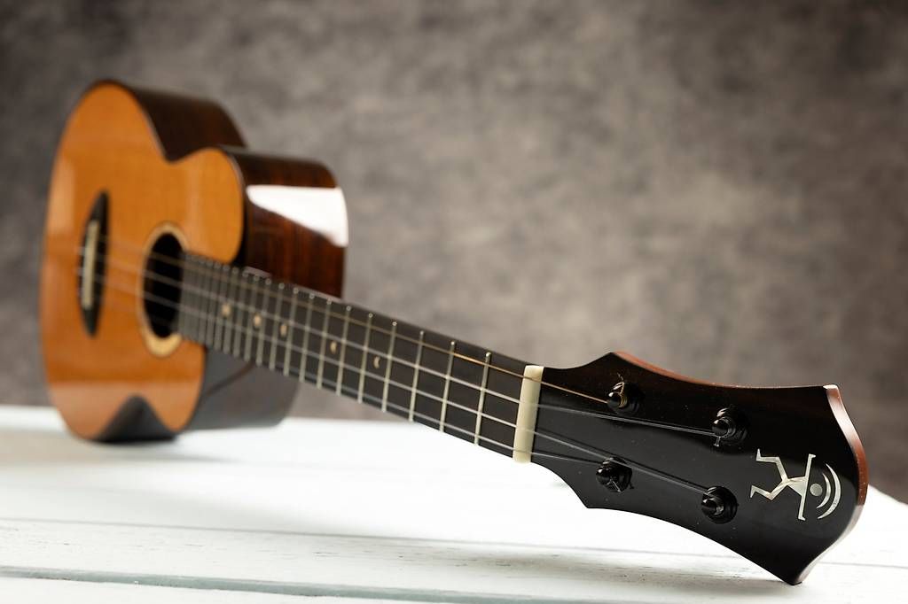 Strumenti musicali: Tenor Ukulele aNueNue Moonbird Cedar – Usato da Zürich venduto da eschebeschl 5