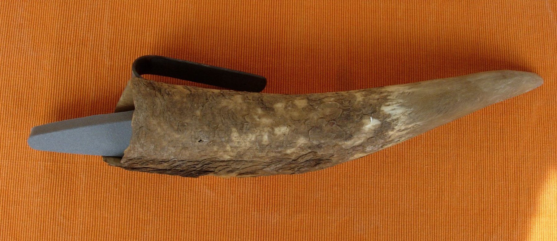 Fossili: Horn - Wettsteinfass - alt – Usato da Basel venduto da Grbina64 1