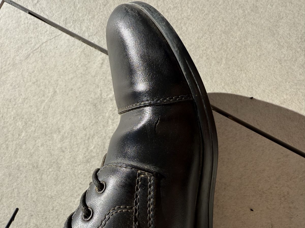 Scarpe da donna: Schöne Steeds Stiefeletten in 41 – Usato da Wil ZH venduto da Edelweiss053 1