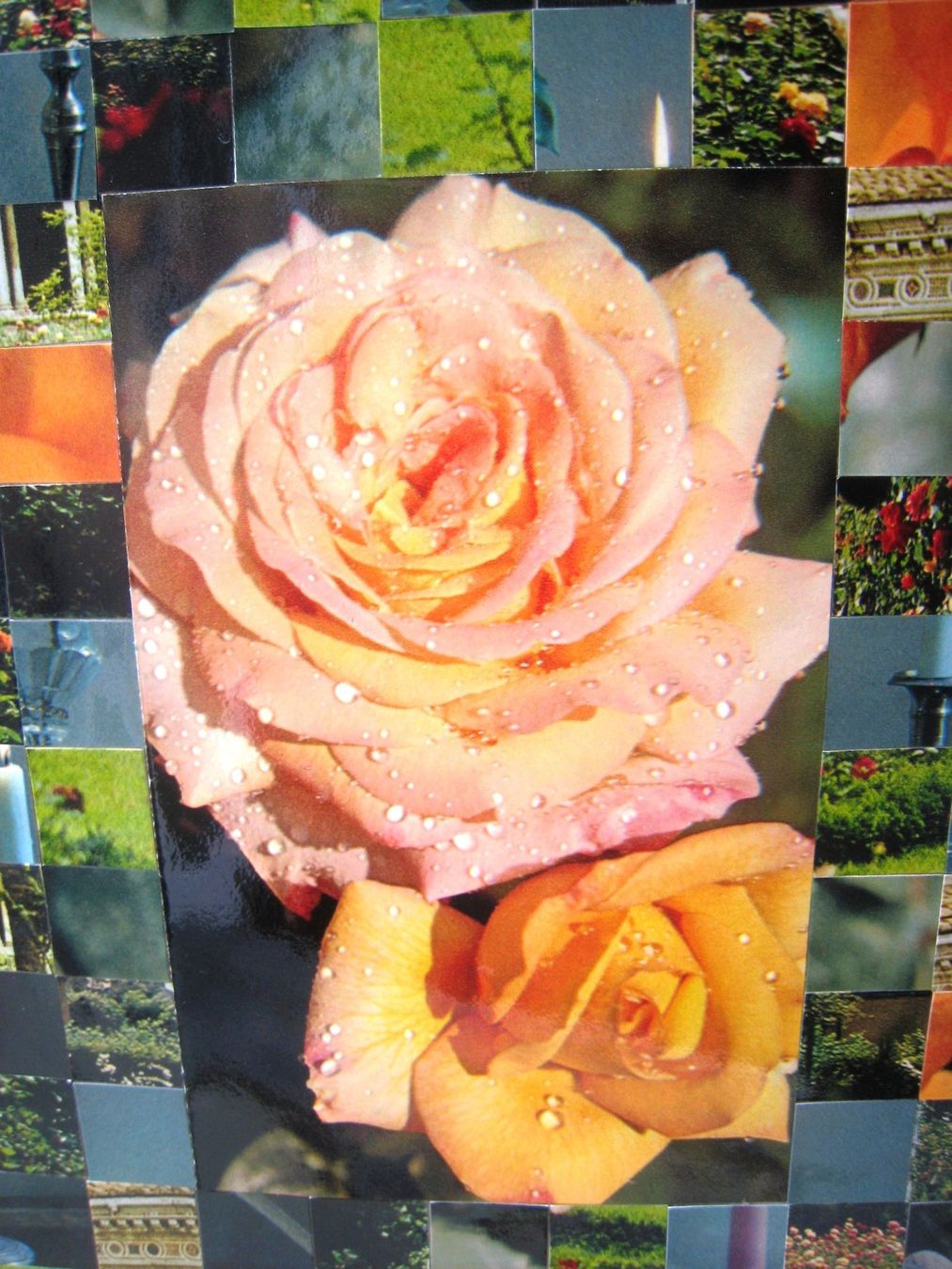Gemälde: Collage "Rosen mit Wassertropfen", ein Unikat – Neu (gemäss Beschreibung) aus Pratteln von Bluebird97 1