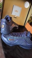 Nike LeBron XXIII "Out For Redemption" Grösse 47,5 NEU