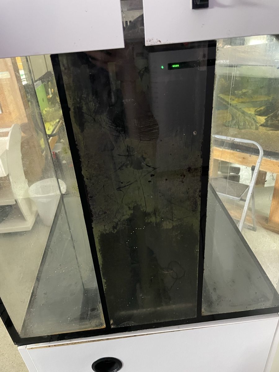 Aquarium: 210l 60x60x60 Aquarium mit Technikbecken – Gebraucht aus Oftringen von Aqualuz 6