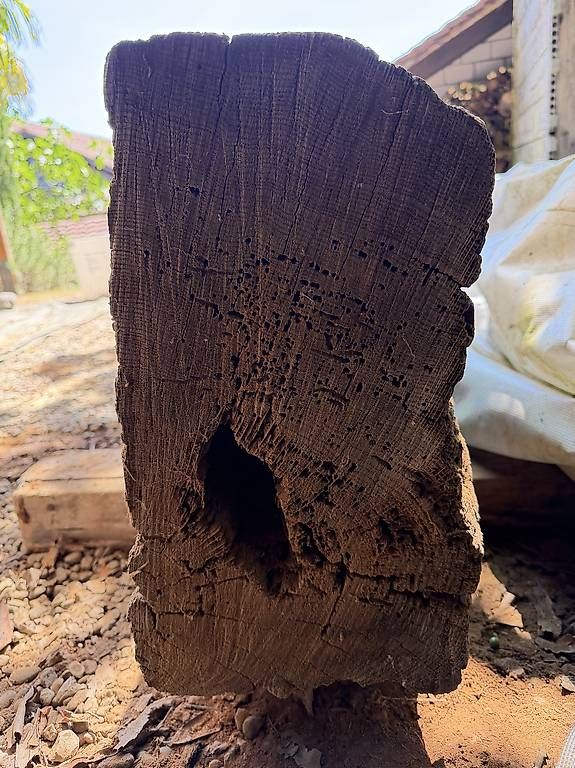 Holzartikel: Eichenbalken – Gebraucht aus Ruswil von eds-engdrehstil 4