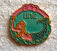 Pin Simone Erni - ECO LINE