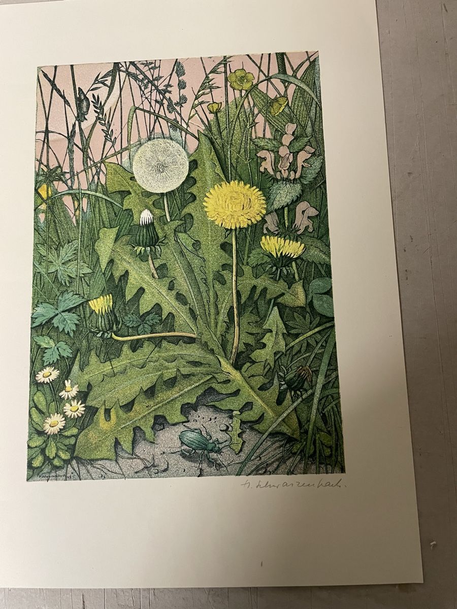 Grafiken & Lithographien: Hans Schwarzenbach, Litho – Gebraucht aus Hindelbank von chinok01