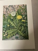 Hans Schwarzenbach, Litho