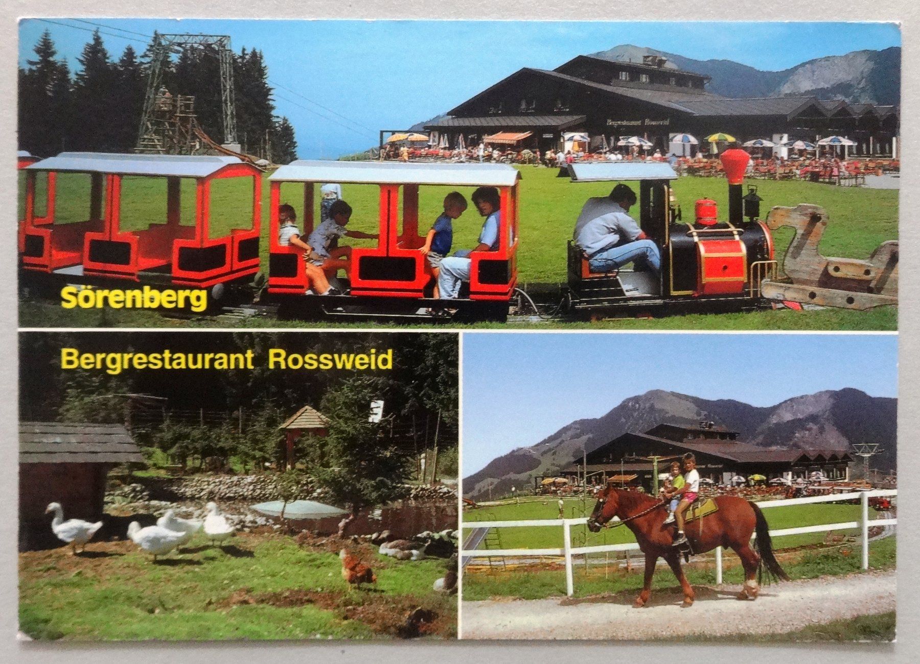 Cartes postales: Bergrest. Rossweid, Sörenberg – D'occasion à Fétigny par Billy2miny