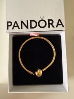 Pandora Armband Gold