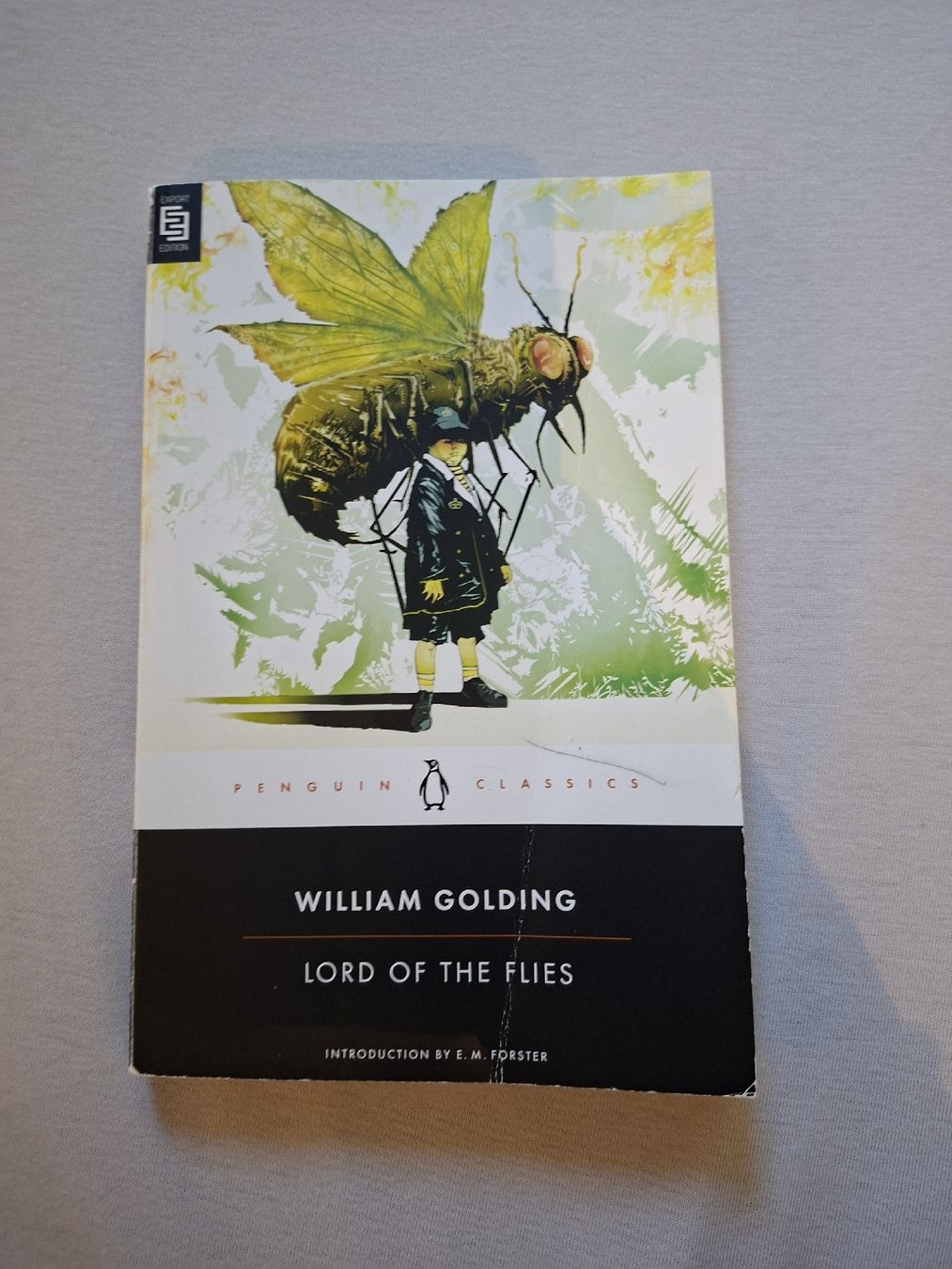 Libri: "Herr der Fliegen" von William Golding – Usato da Nürensdorf venduto da bla_h6jn