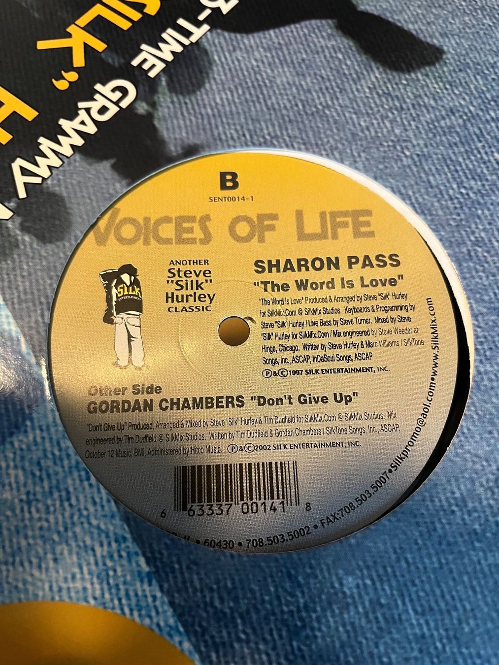 Dischi in vinile: Silk Entertainment Ce CE Peniston, Sharon Pass, G. Chambers – Usato da Frauenfeld venduto da Philz 2