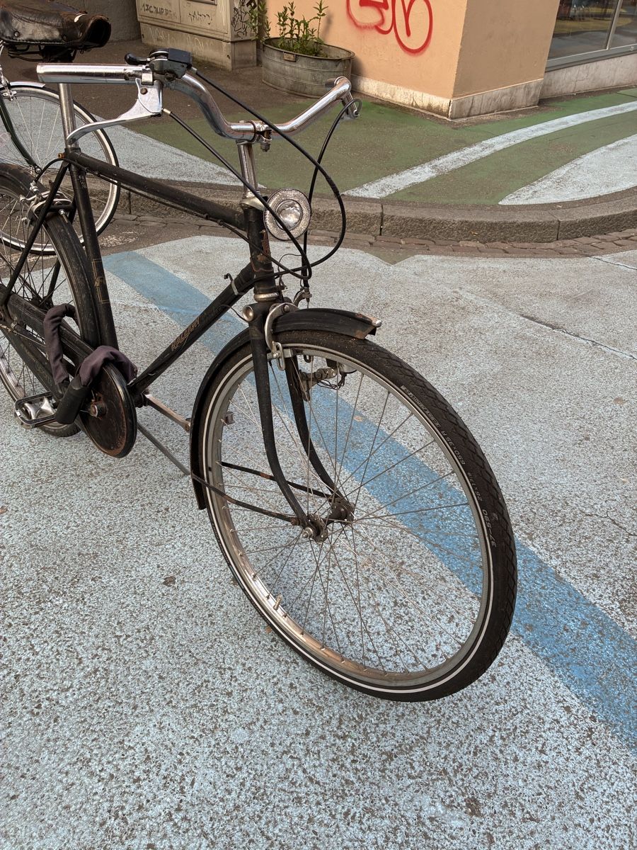 Raleigh Velos: Raleigh Velo – Gebraucht aus Basel von isabellebeck 3