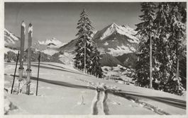 Leysin, Wintersport, Ski
