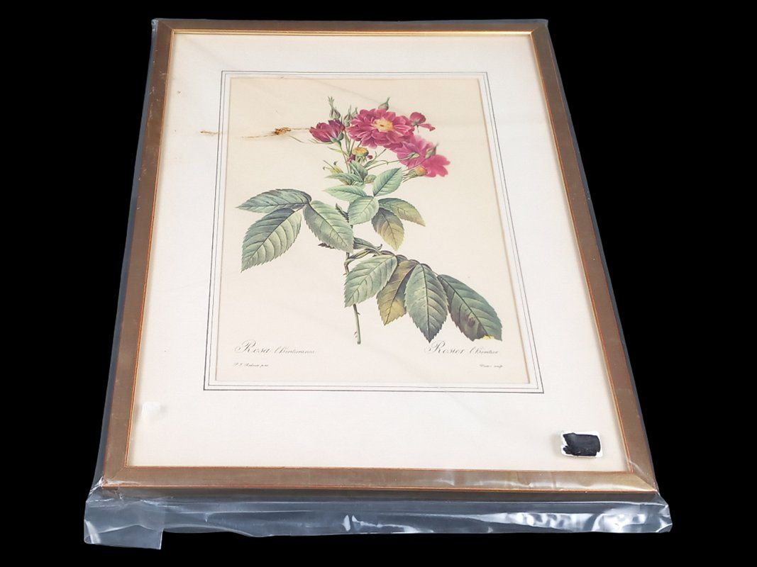 Foto & Immagini: Blumenbild in Bilderramen – Usato da Hünenberg venduto da Restwert_Zug 6