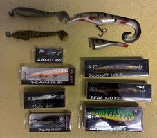 Köder Set für Raubfisch diverse Marken