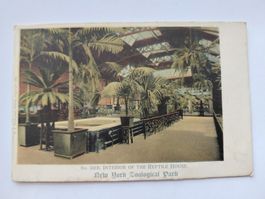 Postkarte New York Zoo Interior Reptile House guter Zustand