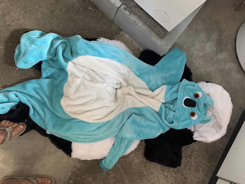 Costumi: Fasnachtskostüme – Usato da Derendingen venduto da alisha09