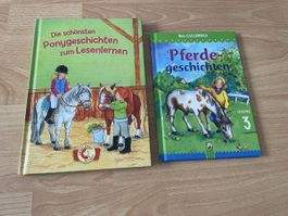 Pferdegeschichten für Kinder: Leselöwen & Leselernbuch