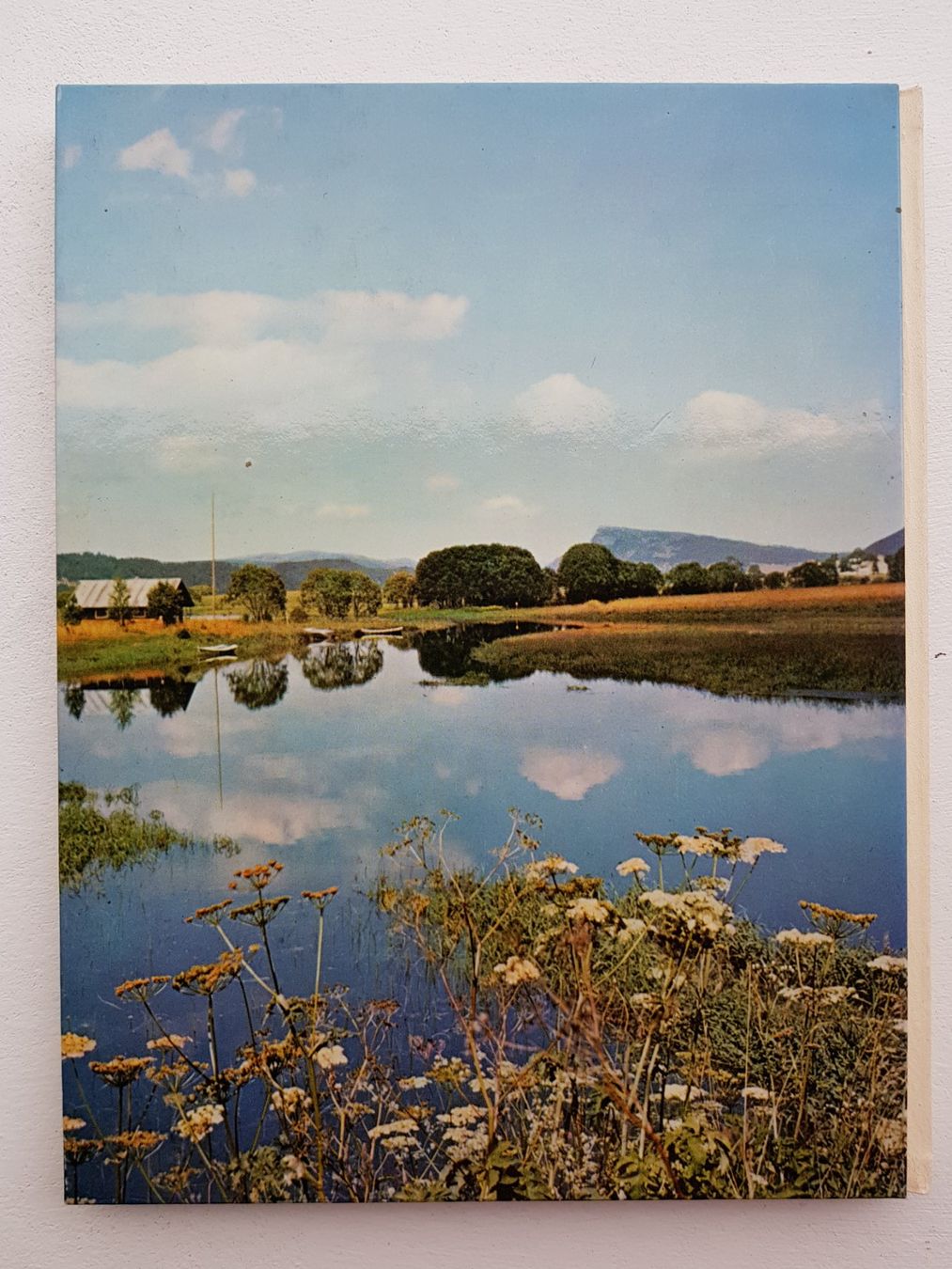 Libri: Vaud - en images – Nuovo (secondo la descrizione) da Lausanne venduto da LasloH 7