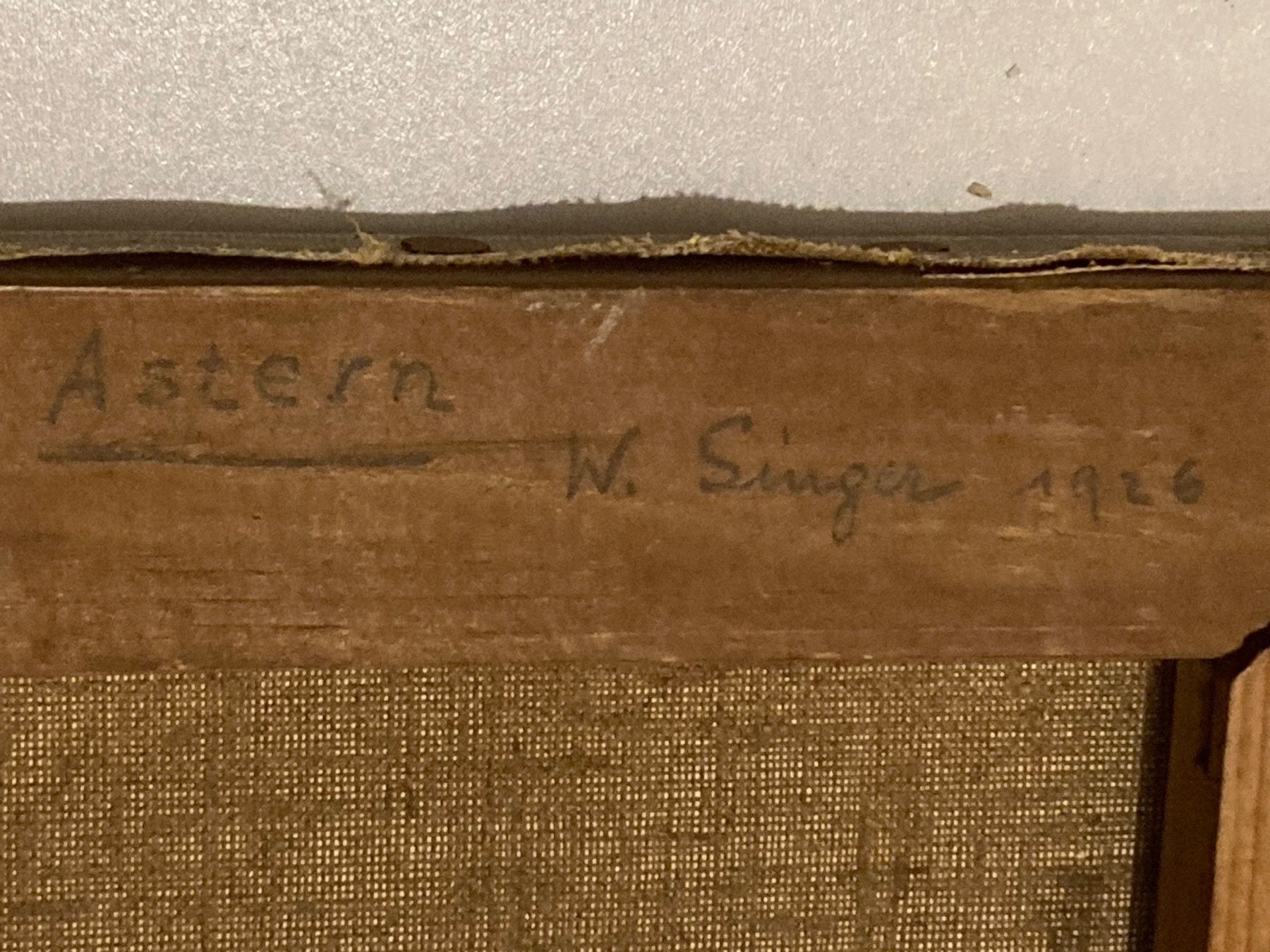 Dipinti: W. Singer 1926 Stilleben monogrammiert Astern – Usato da Hirzel venduto da pjn_d7xp 9