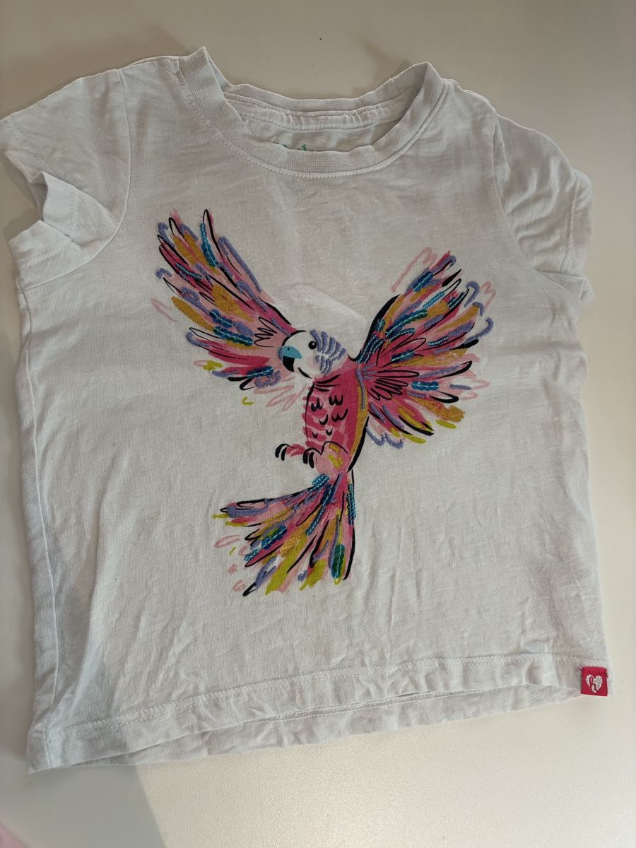 Camicette, T-shirt & Top: Hatley T-Shirt Gr. 4 mit Papagei – Usato da Pratteln venduto da Daily88