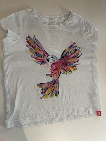 Hatley T-Shirt Gr. 4 mit Papagei