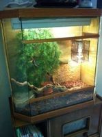 Terrarium, Topzustand