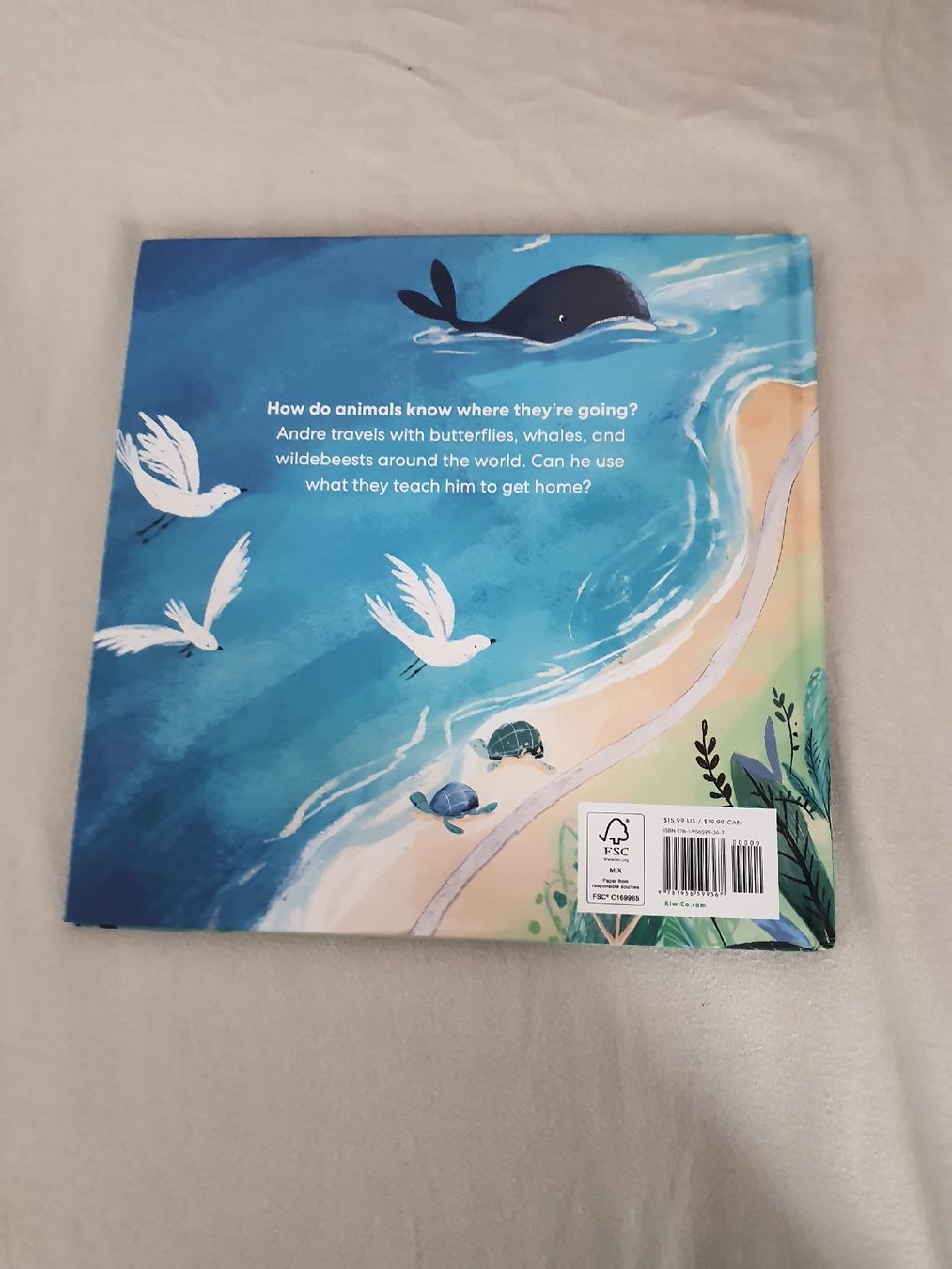 Libri: Kinderbuch Which Way Home – Nuovo (secondo la descrizione) da Zug venduto da Gemma.cardus 1
