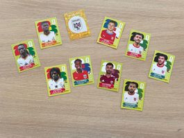 Stickers panini