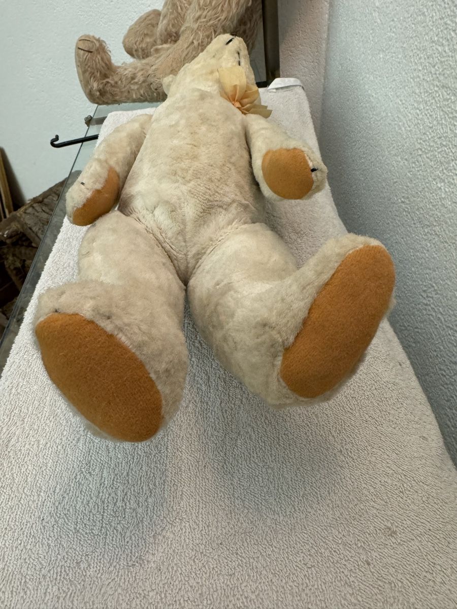 Giocattoli: Teddybär – Usato da Binningen venduto da kal_5nsj 7
