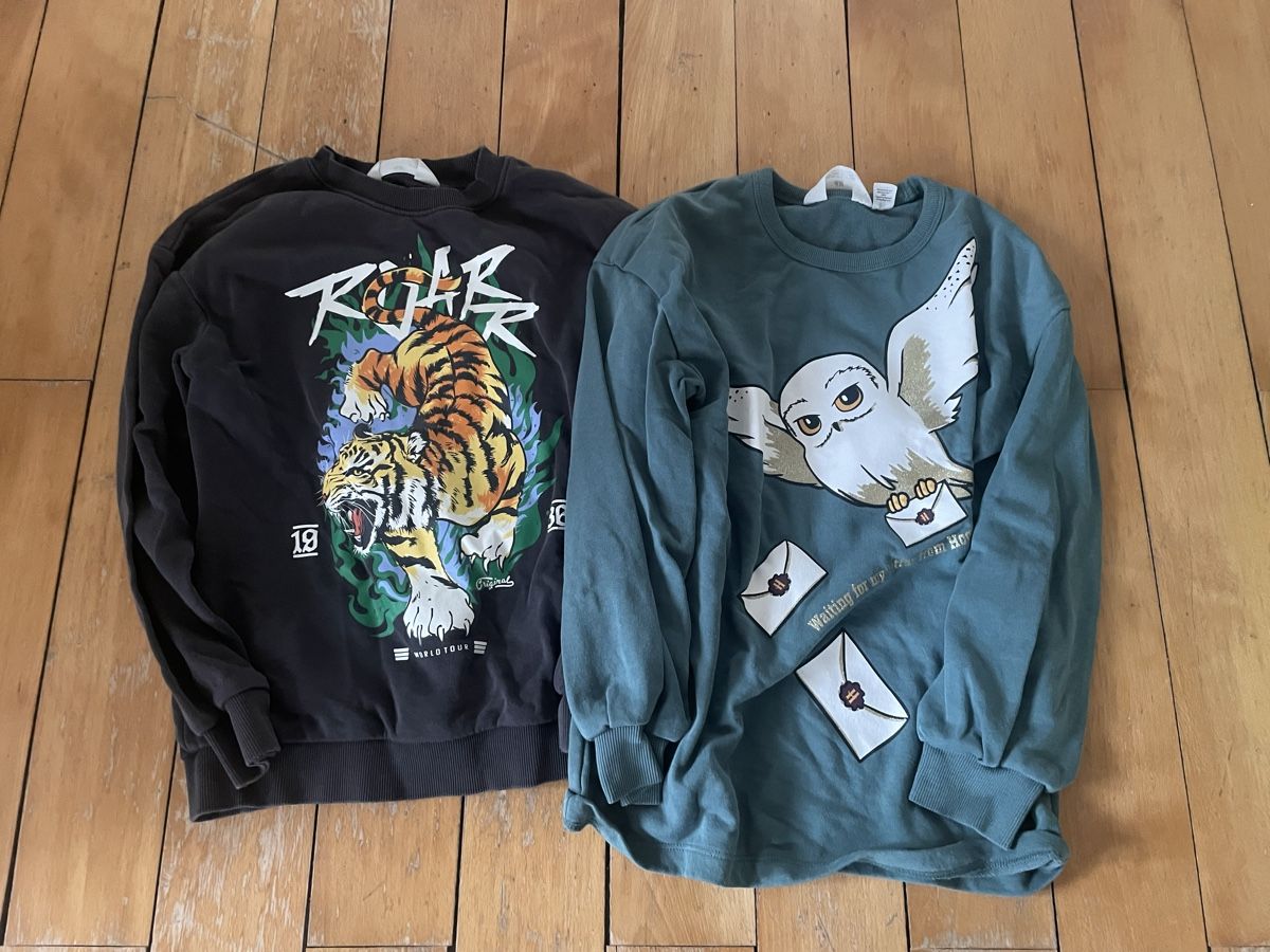 Pulls et sweat-shirts: 2 Pullis Gr. 140 – D'occasion à Hildisrieden par ChiaraZ
