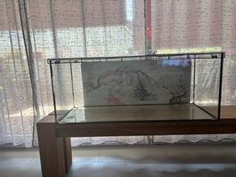 Hamsterkäfig mit Zubehöre ab 1Fr.