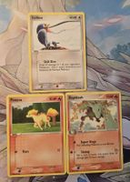 Bloc EX lot Pokémon rapidash ponyta
