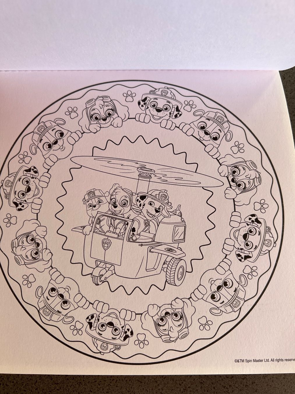 Libri: PAW Patrol Mandala Ausmalbuch – Usato da Winkel venduto da Tilivika 4