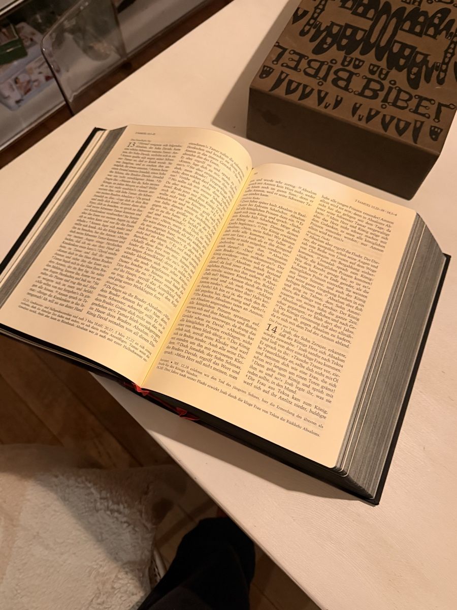 Libri: Bibel Hundertwasser 1995 – Usato da Lobsigen venduto da Ailujailuj 3