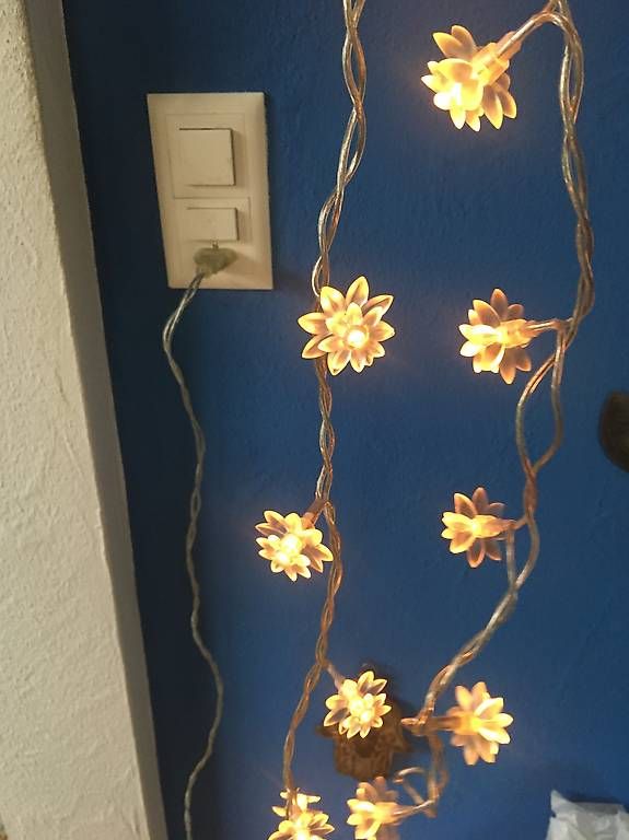 Lichterketten & Leisten: Leuchtkette Blumen – Gebraucht aus Zürich von BuenosAires03 1