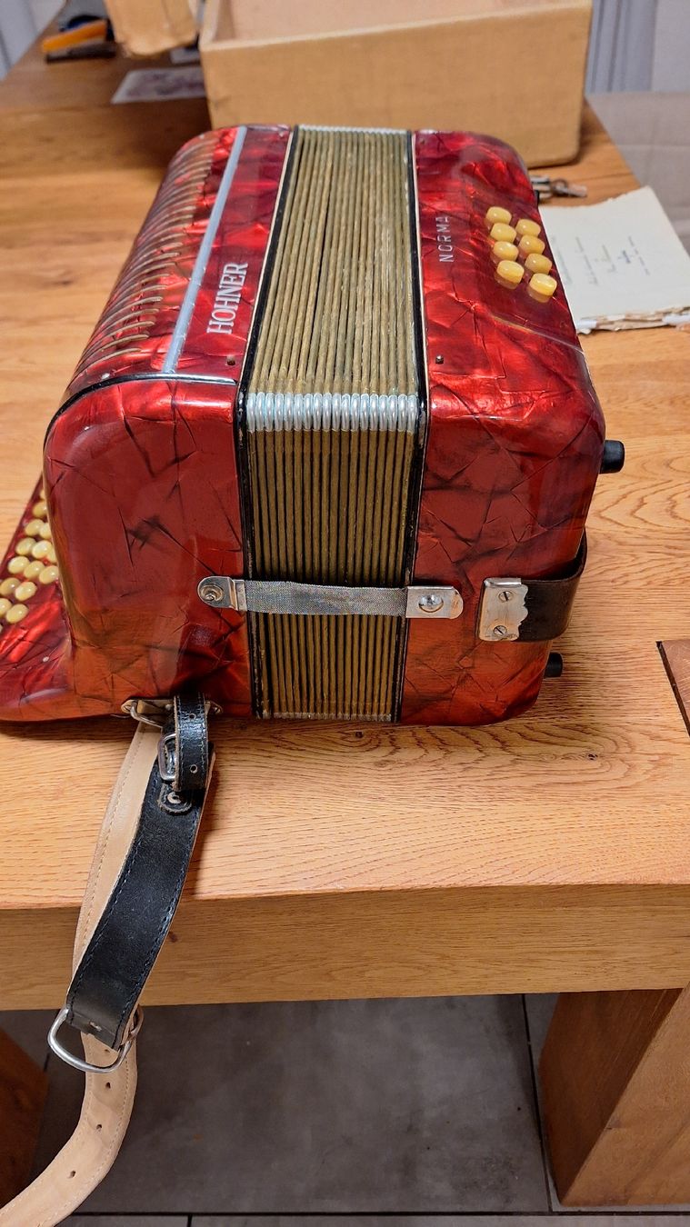 Hohner Strumenti musicali: Handorgel – Usato da Hütten venduto da Esposto05 1