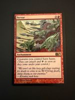 Fervor