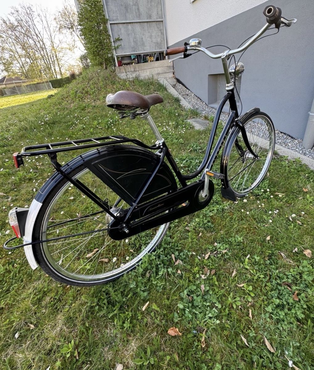Biciclette: Electra royal Amsterdam, Hollandvelo – Usato da Fällanden venduto da Caramel7 2